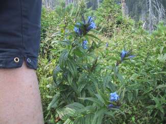 IMG_1477.JPG